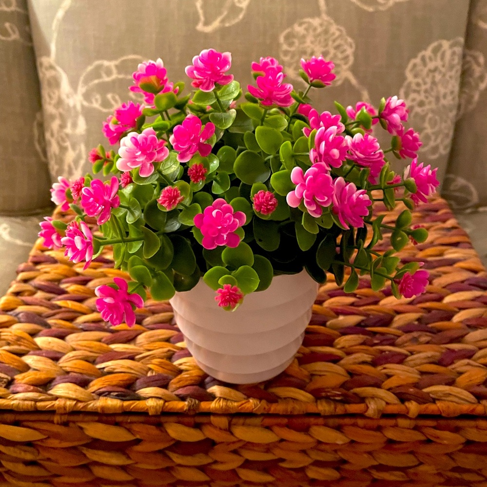 Faux pink plant 🌱